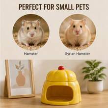 Tổ làm mát bằng gốm cho chuột hamster, chỗ trú ẩn tản nhiệt hai lớp, giường ngủ mát mẻ cho thú cưng nhỏ vào mùa hè. - A - Xem 4