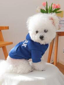 1件宠物服装，犬猫通用，舒适连帽衫系列，适合小型犬、幼犬，春秋季 - 藏青色 - 藍色 - 查看 3