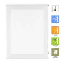 KIWI | Estor Enrollable Translúcido Tamaños de 100 a 180 cm de Ancho y de 180 a 220 cm de Alto, Estor Enrollable Fácil Instalación a Pared o Techo, Disponible en 4 Colores - Envío GRATIS ✅ Entrega 24/48h a España (península) - Blanco Roto - Ver 3