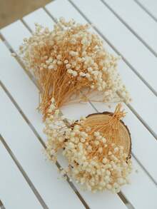 50/100 piezas Flor de Novia Artificial, Ramo de Flor de Novia Artificial, Adecuado para Ramo de Novia, Decoración del Hogar, Decoración de Mesa, Relleno de Jarrón, Decoración Floral DIY (Para Bodas y Fiestas), Decoración de Habitación, Día de San Valentín, Regalo de Cumpleaños, Regalo de Graduación, Decoración de Jardín, Plantas Artificiales, Jardinería, Flores Artificiales - Albaricoque - Ver 3