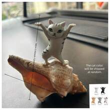 1pc Shell Cat Toy, Suitable For Pet Entertainment & Home Decor, A Great Companion For Pet Play - View 7