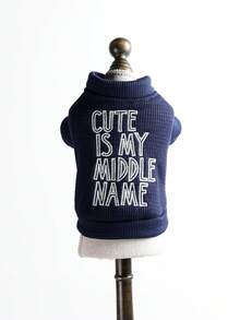 1 pieza Ropa para mascotas, Ropa linda para perros/gatos pequeños, Serie de sudaderas cómodas, Adecuada para primavera y otoño - Multicolor - Ver 5
