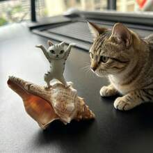 1pc Shell Cat Toy, Suitable For Pet Entertainment & Home Decor, A Great Companion For Pet Play - View 1