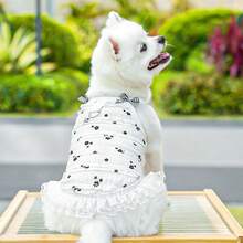 貓狗蕾絲蘿莉塔蛋糕裙，小型與中型犬蕾絲裙，泰迪熊風格，博美寵物服裝，適合夏秋季節，貓咪服飾配件，派對穿搭，狗狗衣服，貓咪衣服，動物衣服，新寵物春夏系列，幼犬衣服，公主風多功能套裝，印花條紋風格，小型動物衣服，結合涼爽與防曬功能（附掛環） - 彩色 - 查看 7