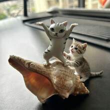 1pc Shell Cat Toy, Suitable For Pet Entertainment & Home Decor, A Great Companion For Pet Play - View 4