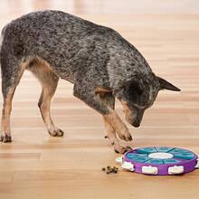 Outward Hound By Nina Ottosson Dog  U2013 Interactive Treat Puzzle Enrichment Toy, Level 3 Advanced - MàuC - Xem 3