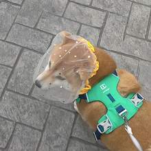 1/2/3个装 小型/中型犬防咬口套，防止狗狗吞食杂物头套 - 彩色 - 查看 3