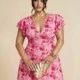 Rosa vieja