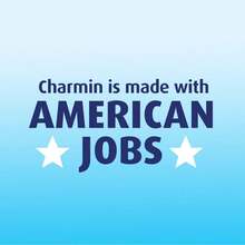 Charmin Essentials Strong Toilet Paper 6 Mega Rolls, 429 Sheets Per Roll - ColorB - View 9