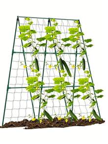 耐候防水PVC花园花架——坚固耐用的户外植物支架，采用结实的立柱和开放式网状结构，适用于藤蔓、常春藤、豆类等植物。易于安装在花坛、菜园和阳台上（维护成本低）。 - 多色 - 查看 2