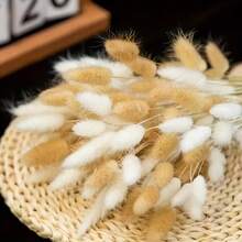 30~240支 17英吋卡其色人造兔尾草花莖，仿真兔尾草，適用於居家裝飾、波希米亞風花藝布置、DIY手工藝、廚房與婚禮裝飾、聖誕與感恩節裝飾、DIY花環 - 白褐色 - 查看 1