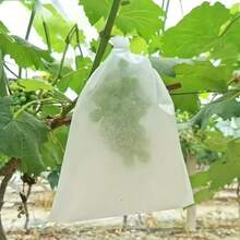 Aproximadamente 50 piezas Bolsas de malla blanca para aislar frutas - Previene la entrada de insectos y pájaros - Adecuado para viñedos y jardines - Aplicable para diversas frutas y verduras, protección para jardinería - alrededor de 50 piezas - Ver 4