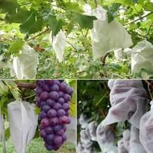 Aproximadamente 50 piezas Bolsas de malla blanca para aislar frutas - Previene la entrada de insectos y pájaros - Adecuado para viñedos y jardines - Aplicable para diversas frutas y verduras, protección para jardinería - alrededor de 50 piezas - Ver 10