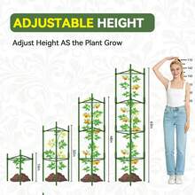 1 Pc Assembled Tomato Cage, Vegetable Support Stake, For Climbing Plants, Vegetables, Flowers, Fruits, Vines - Multicolor - View 8
