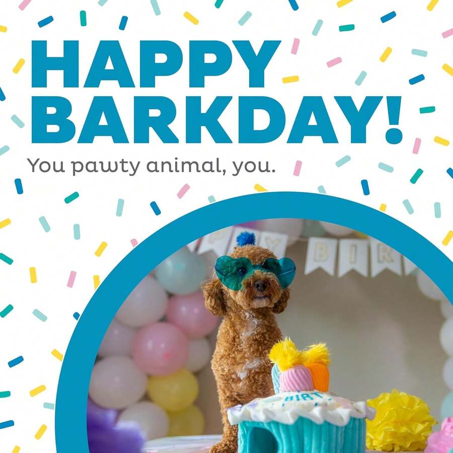 Outward Hound Hide-A-Birthday-Cake Dog Toy U2013 Interactive 2u2011inu20111 Plush Puzzle With 3 Squeaky Removable Candles - MàuC - Xem 1