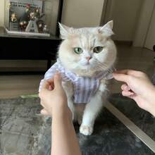 Cat Print Princess Style Gradient Color Anti-Shedding Summer Pet Dress, Suitable For Small Dogs And Cats, Lightweight And Breathable, Purple And Pink - Pink - View 3