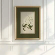 1pc Frameless Vintage Botanical Art Print, Floral Wall Art, Back To School, Room Decor Bedroom, Funkyposters - Flowers - View 4