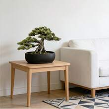 Chậu trồng cây hình bầu dục, chậu cây cảnh thiết kế tối giản, chậu cây bonsai để bàn trong nhà, chậu hoa trang trí ban công. - hình bầu dục - Xem 2