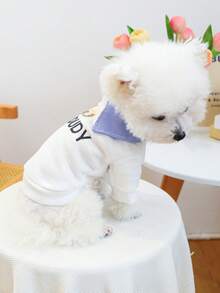 1件宠物衣服，狗狗/猫咪服装，小型犬可爱套装，舒适刺绣卫衣系列，白色 - 彩色 - 查看 3