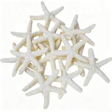 10/40pcs Resin Starfish Decorations, Cute Small Starfish, Suitable For Wedding, Holiday Decor, Home Decor And Crafts - Star - View 3