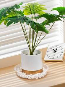 4/8pcs 6", 8", 10" Transparent Plastic Plant Saucers, Indoor Outdoor Garden Drip Trays - Transparent - View 5