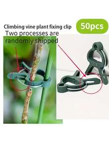 50个可调节植物支撑夹 - 番茄、藤蔓和花卉必备园艺工具 | 可重复使用耐用塑料夹,易于安装,确保植物全年健康生长,花园整洁 - 升級款 - 查看 7