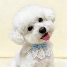 Adjustable Lace Pet Collar, Satin Bow & Pearl Pendant Style - Elegant Princess Design Cat/Dog Bib, Soft Ruffled Neck Accessory For Small Pets, Suitable For Photo Shoots, Outfits And Daily Wear - White - View 6
