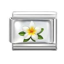 1 chiếc vòng tay nhựa tự làm dạng mô-đun, trang trí bằng hoa, bướm, chữ, tòa nhà, trái tim, hành tinh, thích hợp làm quà tặng cho bạn bè/các cặp đôi, phù hợp cho Giáng sinh, Năm mới, Halloween, Ngày Valentine, thiết kế quyến rũ, trang sức bằng thép không gỉ, sản phẩm địa phương, thiết thực và thời trang, vật dụng cần thiết cho Giáng sinh và Halloween, phong cách Giáng sinh, trang trí Giáng sinh - M294580 M294731 - Xem 42