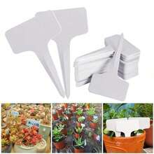 10 piezas de etiquetas blancas para jardinería, tableros de escritura de plástico a prueba de agua para clasificación e identificación - Variante - Ver 6
