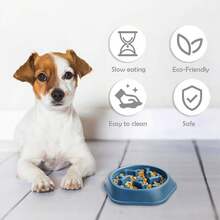 Slow Feeder Dog Bowl Puzzle Design – Anti-Choking Pet Food Bowl For Small & Medium Dogs – Non-Slip Slow Eating Dish For Healthy Digestion (Blue/Green)(1-Pack Or 2-Pack) - Xanh lam / Gói 2 - Xem 9