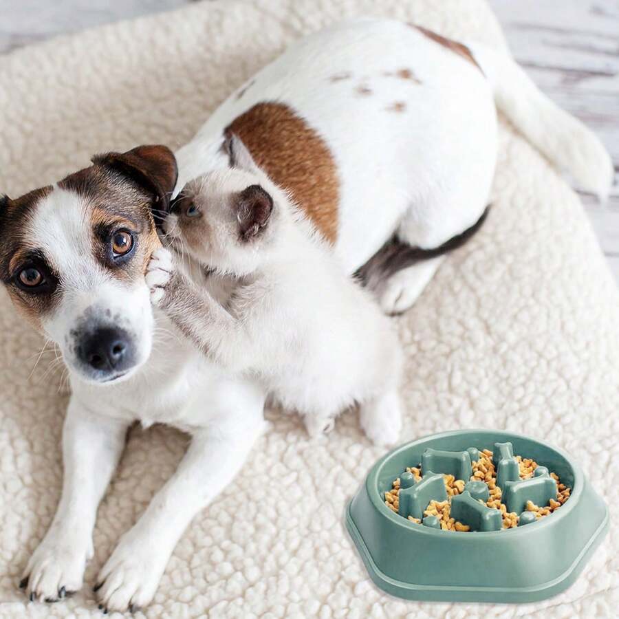 Slow Feeder Dog Bowl Puzzle Design – Anti-Choking Pet Food Bowl For Small & Medium Dogs – Non-Slip Slow Eating Dish For Healthy Digestion (Blue/Green)(1-Pack Or 2-Pack) - 綠色/1裝 - 查看 1