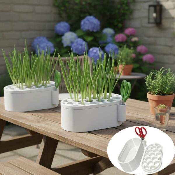 Set de 3 piezas (Base + Rejilla de plantación + Tijeras de color aleatorio) Maceta multifuncional para el recrecimiento hidropónico de cebollas y ajos con soporte para tijeras, sin necesidad de habilidades para una cosecha fácil. Una buena herramienta para la vida de los residentes urbanos. La rejilla de plantación ayuda al crecimiento de las plantas y ahorra gastos del hogar. Compacto y portátil, adecuado para el patio, el alféizar de la ventana, la cocina, etc.