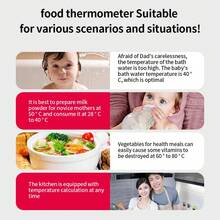 Termómetro de mano para alimentos, medidor electrónico de temperatura para barbacoa, sonda de acero inoxidable 304, probador de temperatura para carne, comida, barbacoa - WT-1 - Ver 2
