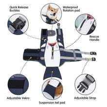 Anti-Tear Dog Life Jacket, Fun Shark Design Pet Flotation Vest, Reflective Adjustable Dog Life Jacket For Small Medium Dogs Swimming Or Boating - Multicolor - View 5
