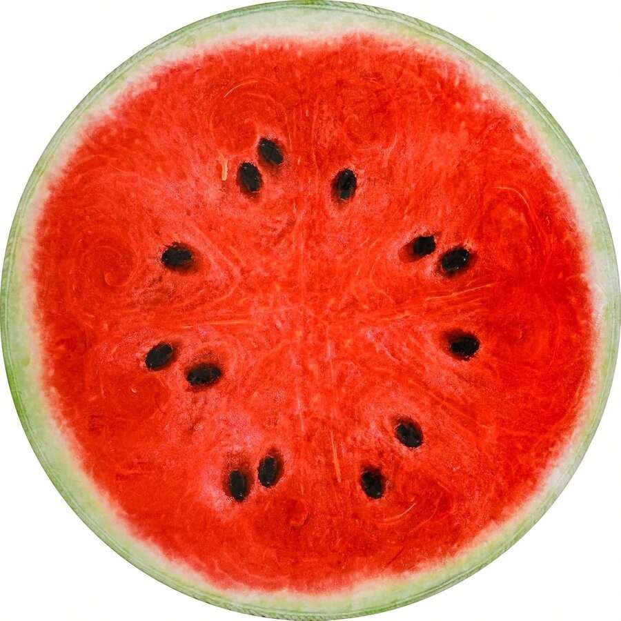 舒适法兰绒西瓜印花毯 - 柔软、温暖、舒适的食物主题毯,适用于沙发、床、旅行和野餐 - 可机洗,多用途毛绒毯,完美礼物之选 - 彩色 - 查看 1