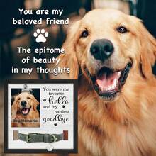 Holz Hunde Fotorahmen, geeignet zum Präsentieren von Hundehalsbändern und Fotos, als Haustier-Gedenk-Geschenk - Einheitsgröße - Übersicht 3