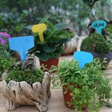 10 piezas de etiquetas blancas para jardinería, tableros de escritura de plástico a prueba de agua para clasificación e identificación - Variante - Ver 8