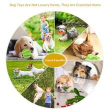 4 piezas de pelotas de juguete con chillido de colores y estilos aleatorios, juguetes masticables duraderos para la limpieza y el entrenamiento de los dientes, adecuados para perros como el golden retriever y el caniche - Multicolor - Ver 3