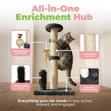 Catify Cat Scratcher Fun Interactive Scratchers Posts Poles Claw  Furniture Saver Indoor Play Port Natural Cat Behaviors Heavy Duty - Gray 11.78 X 11.78 - 貓抓柱(灰色) - 查看 3