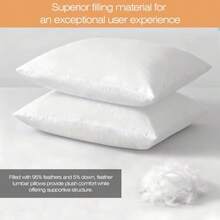Juego de 2 rellenos de almohada de plumas de plumón de 20 x 20 pulgadas, 100% algodón orgánico para sofá, almohadas lumbares grandes en la cama, almohadas decorativas de karate - Blanco - Ver 5