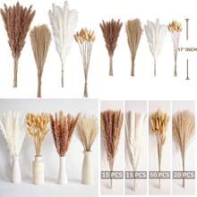 PCS Small Boho Pampas Grass 17" Naturally Dried Pompas Pampas Grass Decor For Wedding Boho Party Decorations Table Decor Brown And White - Brown White - View 1