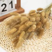 55~60支 17英吋紅色人造兔尾草，家居裝飾人造兔尾草莖，適用於波希米亞風花藝布置、DIY手工藝、居家廚房與婚禮裝飾、聖誕裝飾、聖誕感恩節裝飾、DIY花環裝飾 - 卡其色 - 查看 3