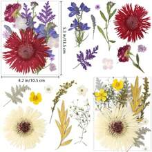 17 Types 30PCS Real Dried Pressed Flowers Bulk Dried Flower For Crafts Packed DIY Natural Dried Pressed Flowers For Resin Mold Scrapbooking DIY - Mixed 17 Types - View 3
