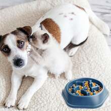 Slow Feeder Dog Bowl Puzzle Design – Anti-Choking Pet Food Bowl For Small & Medium Dogs – Non-Slip Slow Eating Dish For Healthy Digestion (Blue/Green)(1-Pack Or 2-Pack) - Xanh lam / Gói 2 - Xem 4