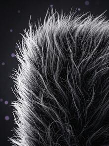 3 pièces/set Accessoires de costume de loup gris mignon comprenant un serre-tête avec oreilles de loup gris, des gants et une queue, convient pour l'Halloween, le cosplay, les fêtes à thème, les jeux de rôle, Pâques, le carnaval, Noël, la Saint-Valentin et les décorations pour représentations sur scène - Multicolore - Voir 7