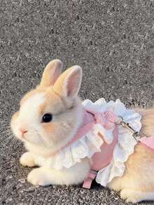 Adjustable Rabbit Leash, Cute Floral Lace Rabbit Harness, Small Animal Outdoor Clothing, Escape-Proof Adjustable Rabbit Vest, Cute Guinea Pig Summer Harness, Leash Set, Rabbit Walking Leash, Floral Decorated Small Animal Vest Harness, Adjustable Escape-Proof Design, Pink, Suitable For Ferrets, Guinea Pigs, Squirrels, Kittens, Hamsters, Rabbits, Suitable For Outdoor Walks, Travel, Spring Outings - Multicolor - View 5