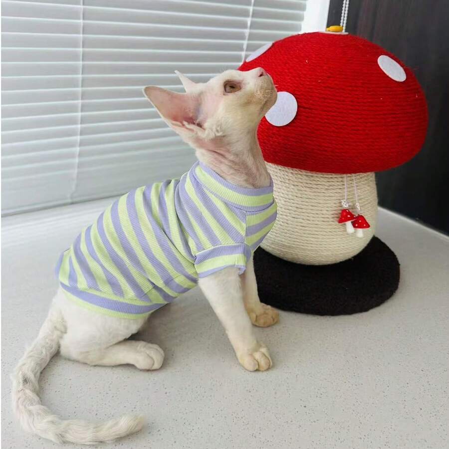 斯芬克斯猫德文郡无毛猫服装，荧光黄紫色条纹背心，高弹力，舒适轻薄夏季宠物家居服 - 紫羅蘭色 - 查看 1