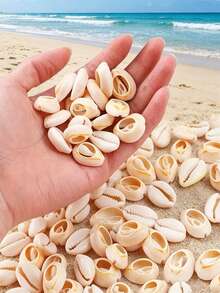 50/100/300pcs Mini Shell Beads Beach Spacer Beads Pendant Denim Shell Loose Beads Summer DIY Earrings Bracelet Necklace Jewelry Making Each Piece Has Different Color And Appearance - Shell - View 2