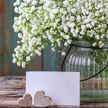 60 bông hoa baby's breath nhân tạo - Bó hoa baby's breath nhân tạo sống động như thật, hoa trắng và lá xanh, hoa giả cảm giác chân thực để trang trí đám cưới, tiệc tùng, nhà cửa, sân vườn. - Nhiều màu - Xem 4