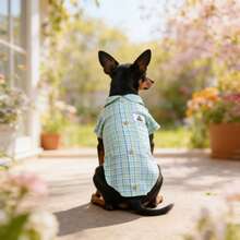 Spring/Summer Thin Plaid Shirt Pet Clothes, Fashion Apparel For Small/Medium Dogs And Cats - Green - View 6